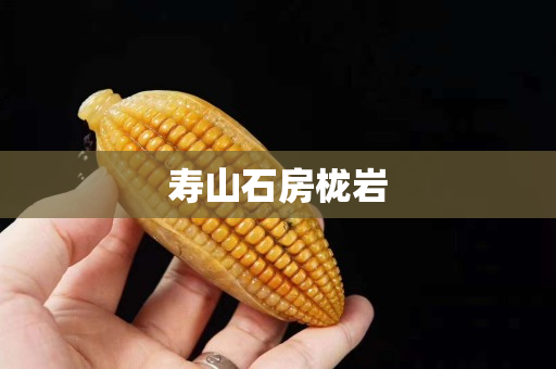 寿山石房栊岩