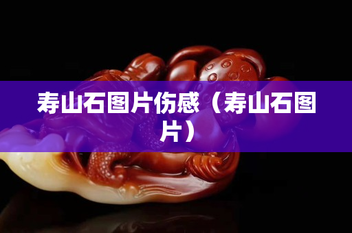 寿山石图片伤感（寿山石图片）