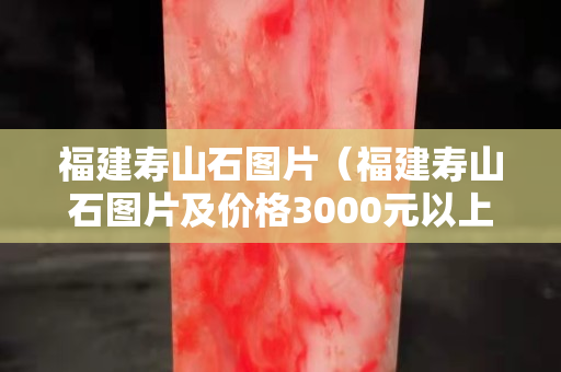 福建寿山石图片（福建寿山石图片及价格3000元以上花）