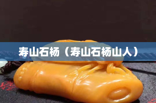 寿山石杨（寿山石杨山人）