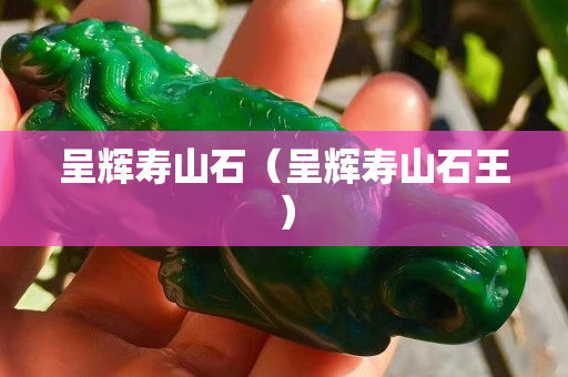 呈辉寿山石（呈辉寿山石王）