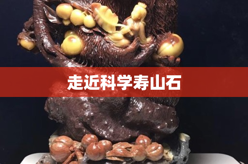 走近科学寿山石