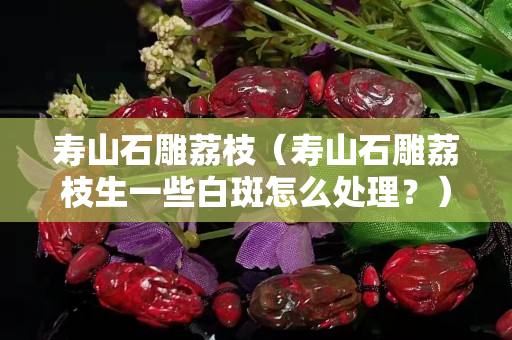 寿山石雕荔枝（寿山石雕荔枝生一些白斑怎么处理？）