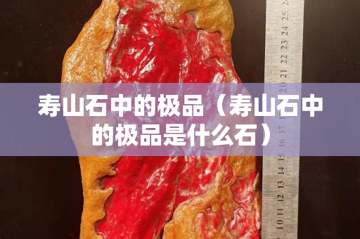 寿山石中的极品（寿山石中的极品是什么石）