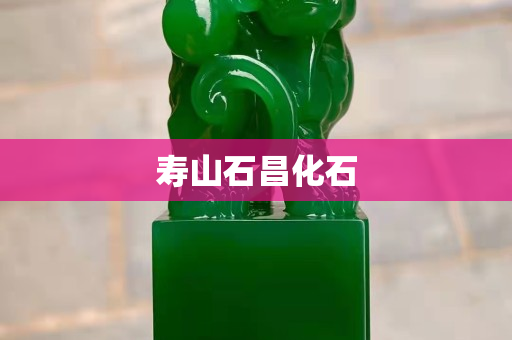 寿山石昌化石