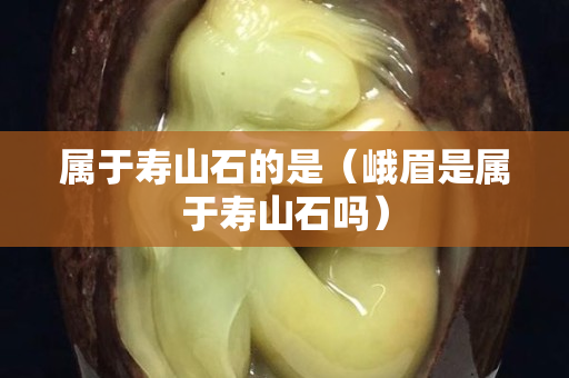 属于寿山石的是（峨眉是属于寿山石吗）
