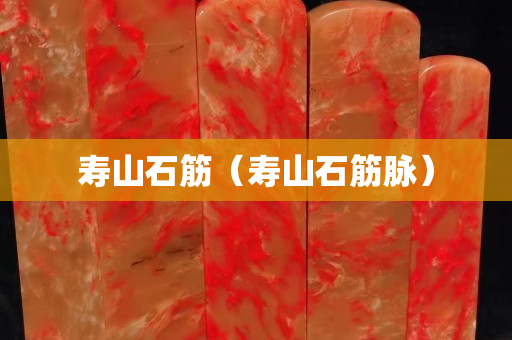 寿山石筋（寿山石筋脉）