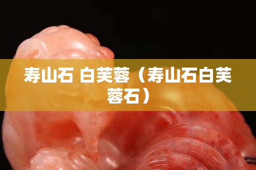 寿山石 白芙蓉（寿山石白芙蓉石）