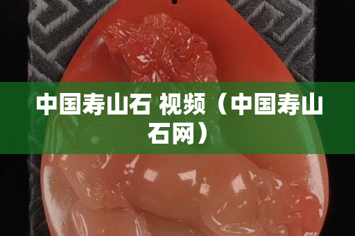 中国寿山石 视频（中国寿山石网）