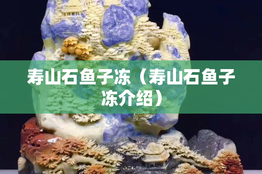 寿山石鱼子冻（寿山石鱼子冻介绍）