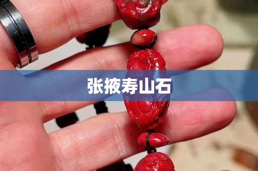 张掖寿山石