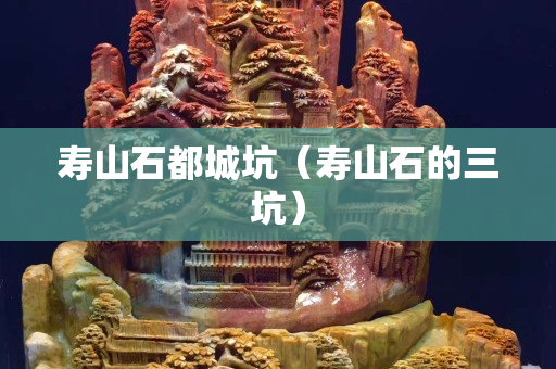 寿山石都城坑（寿山石的三坑）