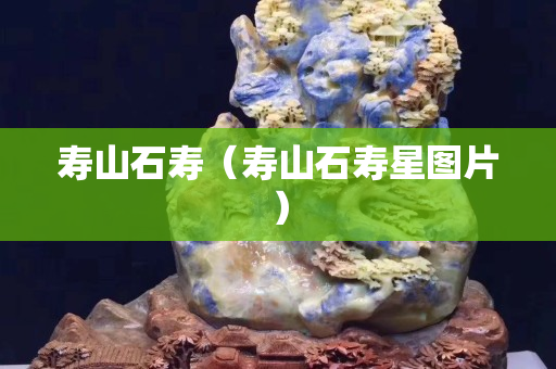 寿山石寿（寿山石寿星图片）
