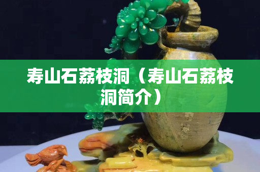 寿山石荔枝洞（寿山石荔枝洞简介）