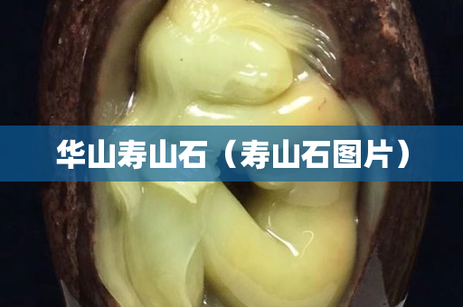 华山寿山石（寿山石图片）