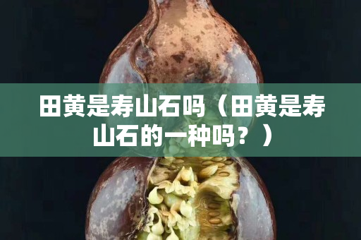 田黄是寿山石吗（田黄是寿山石的一种吗？）