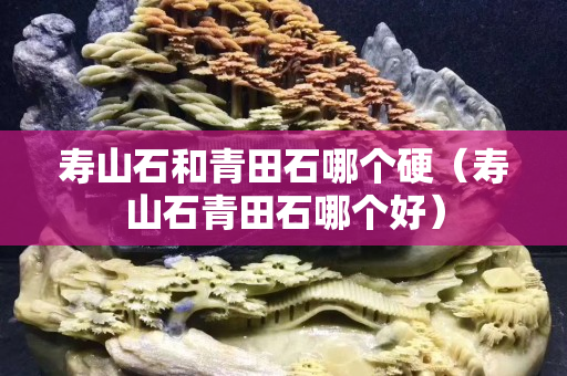 寿山石和青田石哪个硬（寿山石青田石哪个好）