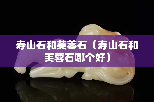 寿山石和芙蓉石（寿山石和芙蓉石哪个好）