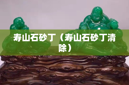 寿山石砂丁（寿山石砂丁清除）