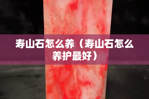寿山石怎么养（寿山石怎么养护最好）