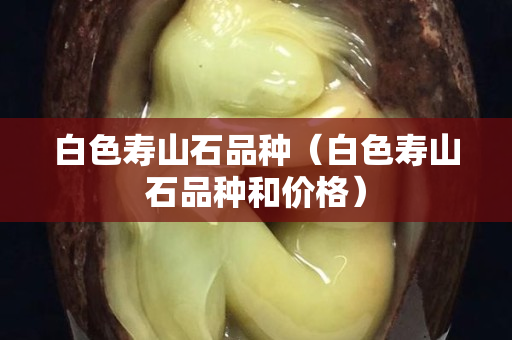 白色寿山石品种（白色寿山石品种和价格）