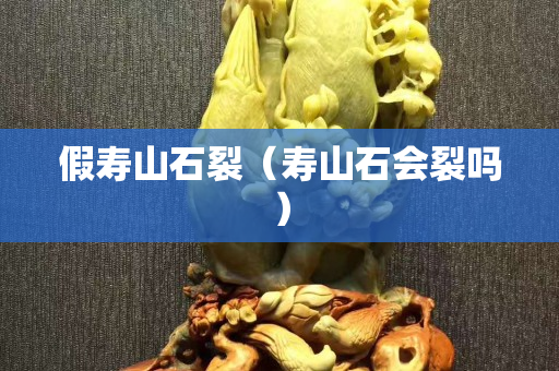 假寿山石裂（寿山石会裂吗）