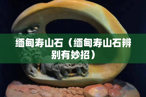 缅甸寿山石（缅甸寿山石辨别有妙招）