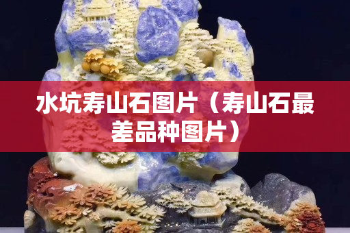 水坑寿山石图片（寿山石最差品种图片）