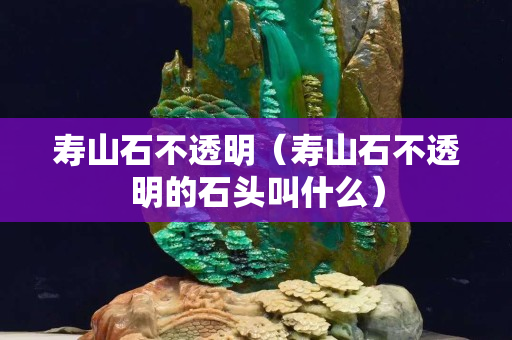 寿山石不透明（寿山石不透明的石头叫什么）