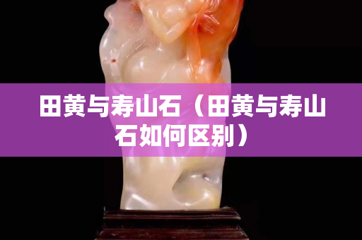 田黄与寿山石（田黄与寿山石如何区别）