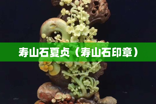 寿山石夏贞（寿山石印章）