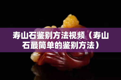 寿山石鉴别方法视频（寿山石最简单的鉴别方法）