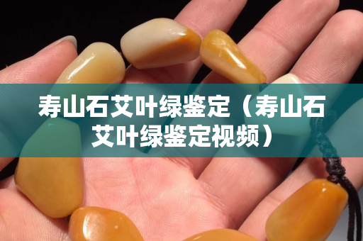 寿山石艾叶绿鉴定（寿山石艾叶绿鉴定视频）