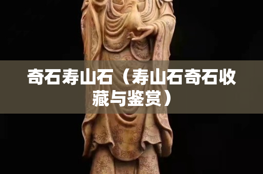 奇石寿山石（寿山石奇石收藏与鉴赏）