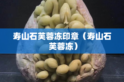 寿山石芙蓉冻印章（寿山石 芙蓉冻）