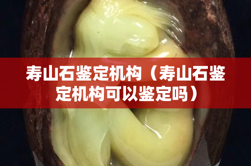 寿山石鉴定机构（寿山石鉴定机构可以鉴定吗）