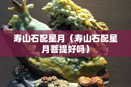 寿山石配星月（寿山石配星月菩提好吗）