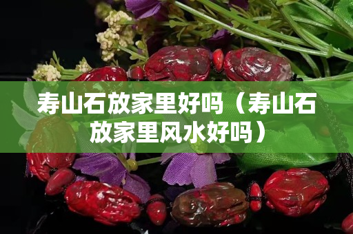寿山石放家里好吗（寿山石放家里风水好吗）