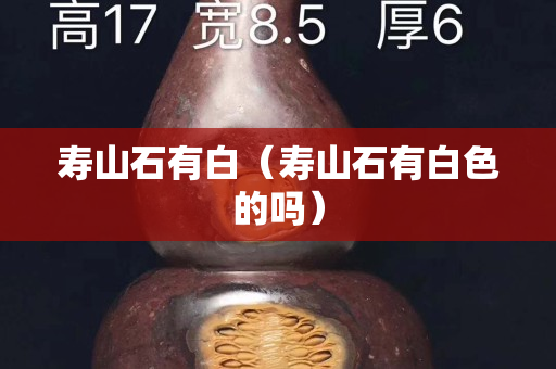 寿山石有白（寿山石有白色的吗）