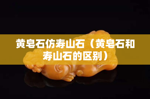 黄皂石仿寿山石（黄皂石和寿山石的区别）