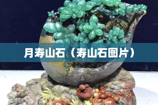 月寿山石（寿山石图片）