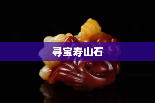 寻宝寿山石