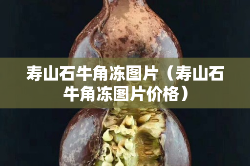 寿山石牛角冻图片（寿山石牛角冻图片价格）