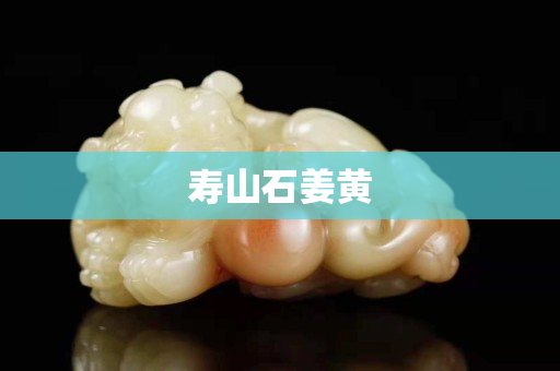 寿山石姜黄