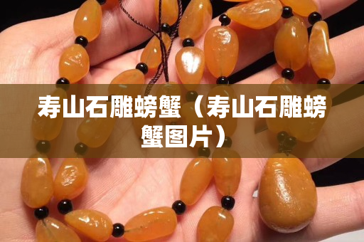 寿山石雕螃蟹（寿山石雕螃蟹图片）