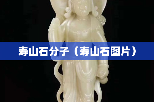 寿山石分子（寿山石图片）