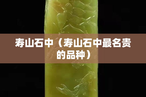 寿山石中（寿山石中最名贵的品种）