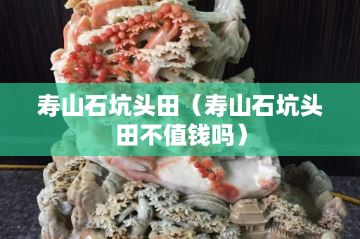 寿山石坑头田（寿山石坑头田不值钱吗）