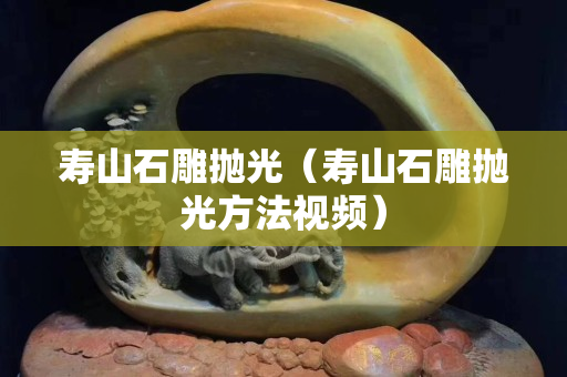 寿山石雕抛光（寿山石雕抛光方法视频）