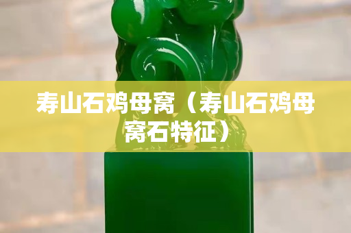 寿山石鸡母窝（寿山石鸡母窝石特征）